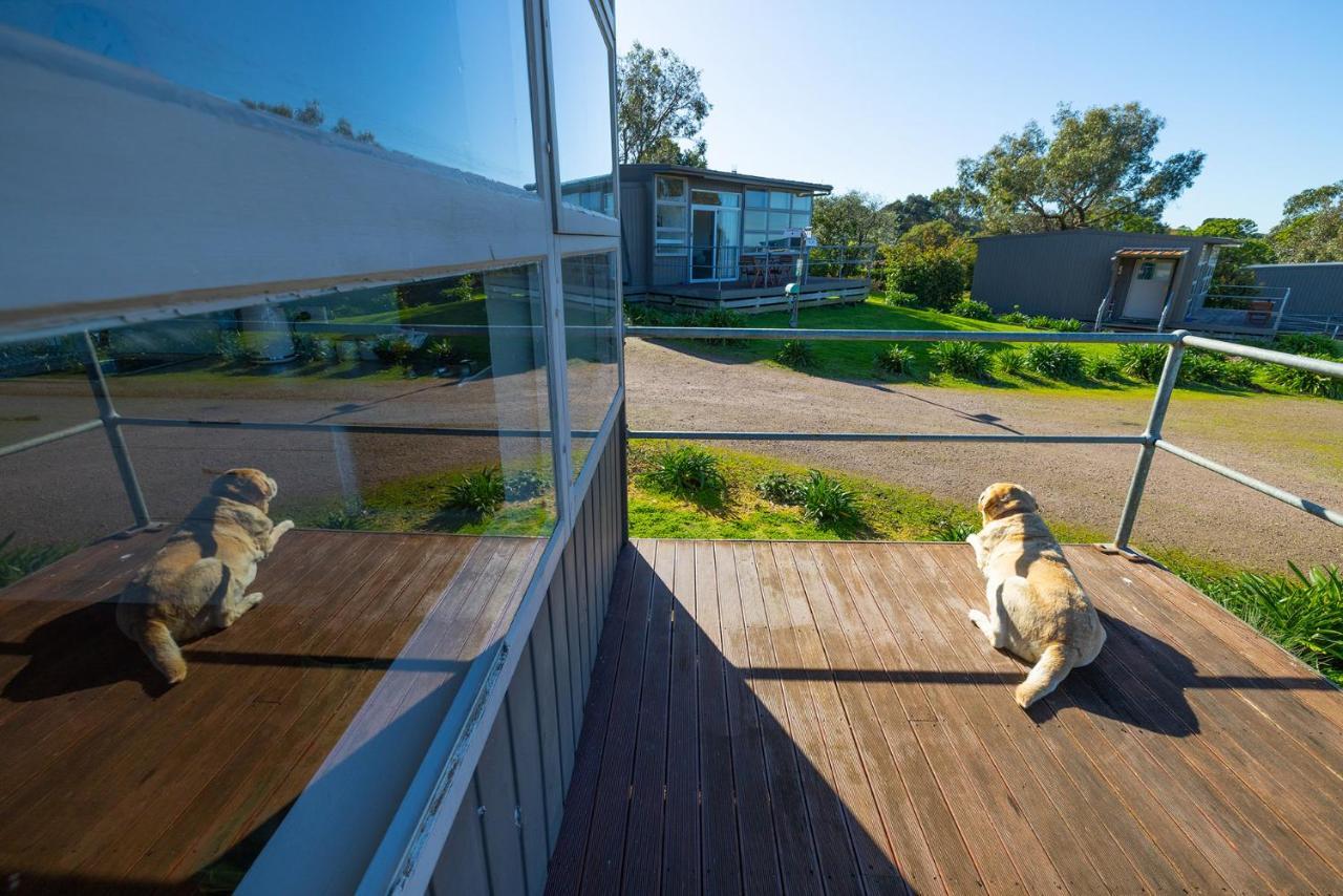Harmony At Tower Hill Apartment Koroit Bagian luar foto